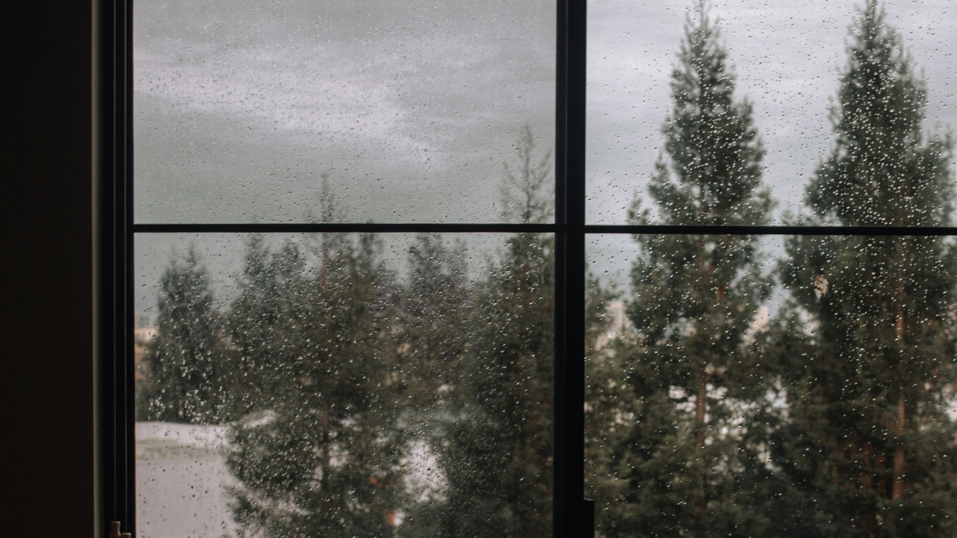 window with water dew