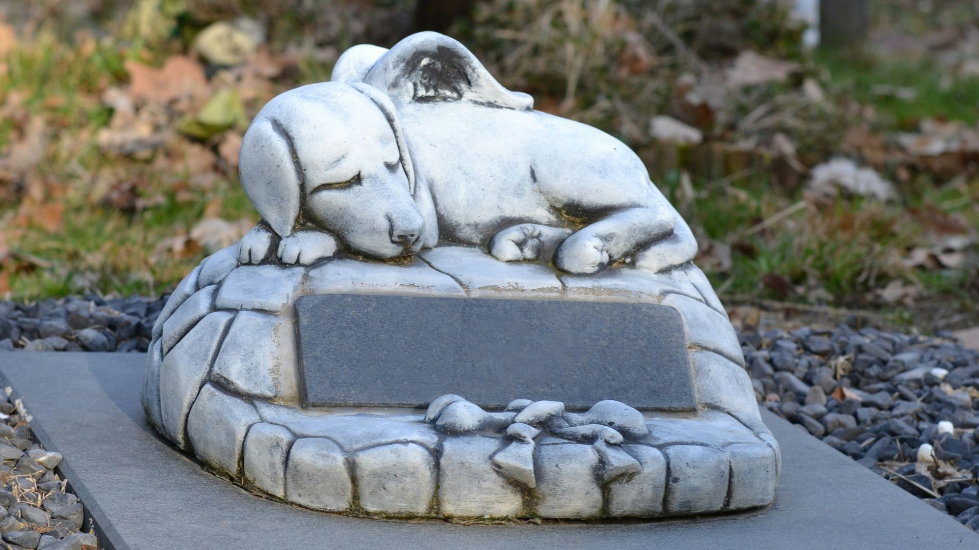 a statue of a dog laying on a stone bench
