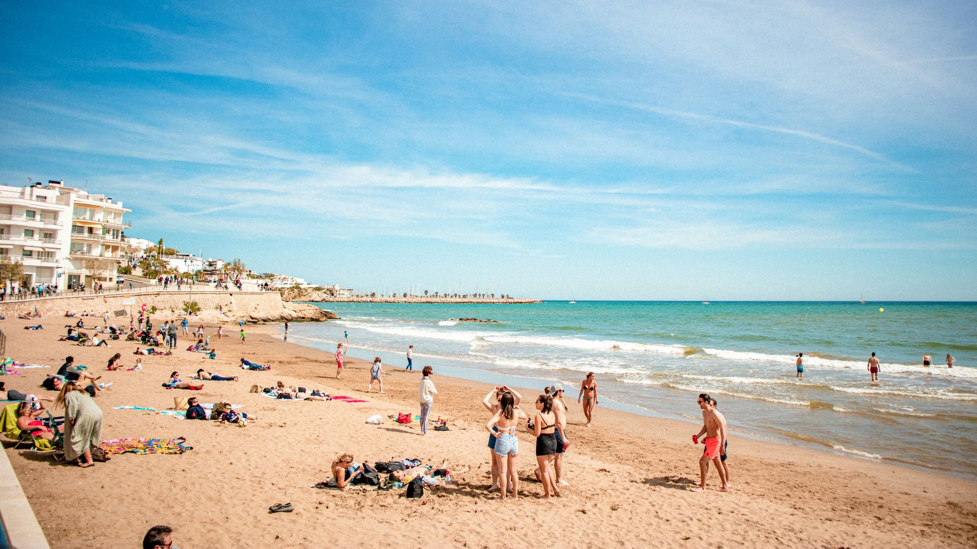 people on beach during daytime