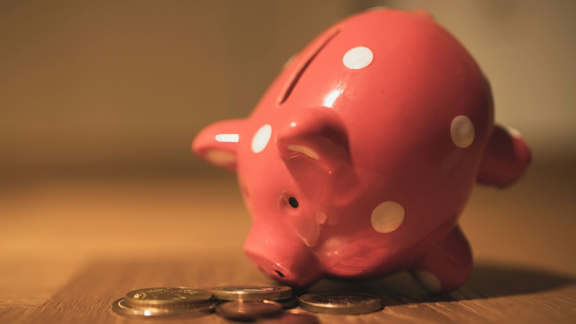 pink pig coin bank on brown wooden table