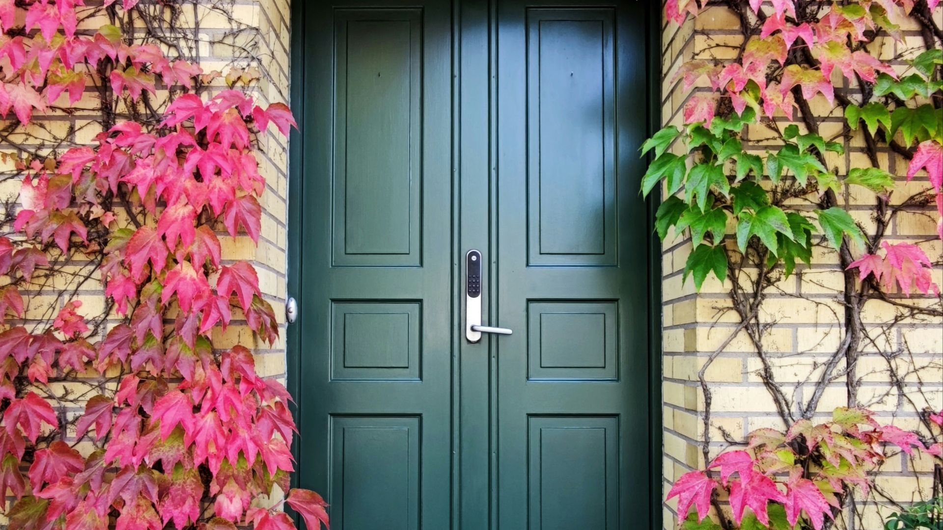 blue wooden door with pink and red flowers