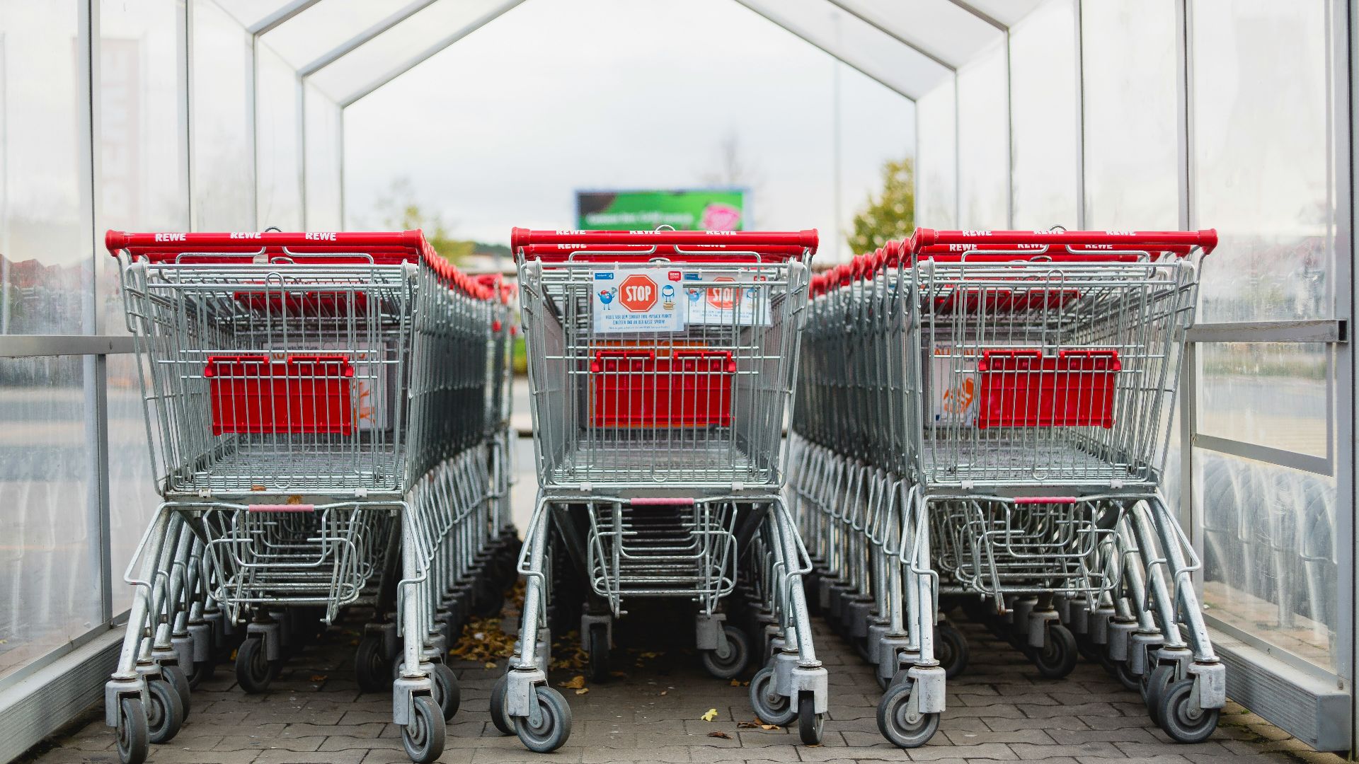 gray and red shopping carts