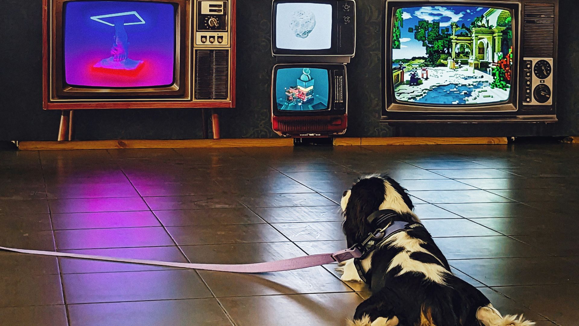 a black and white dog laying on the floor in front of televisions