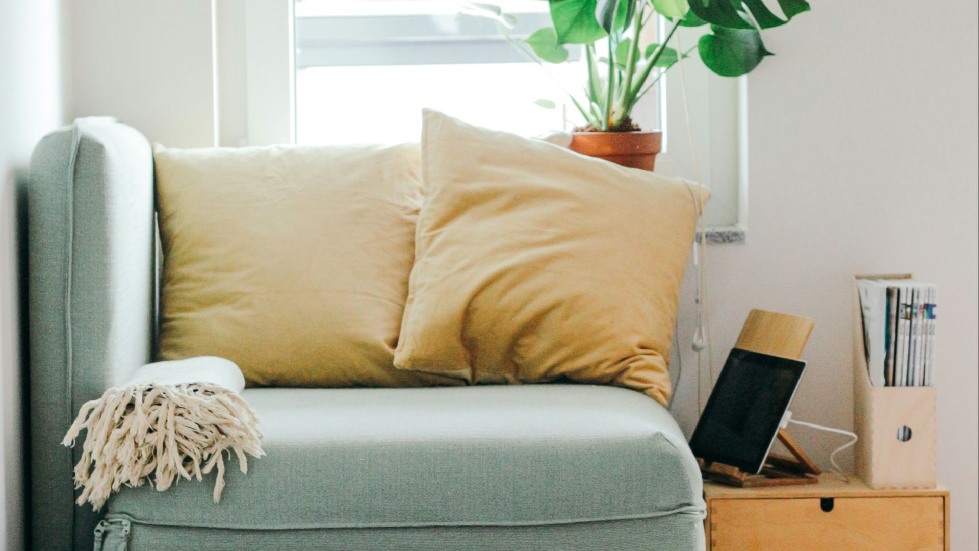 beige puppy lying on brown textile