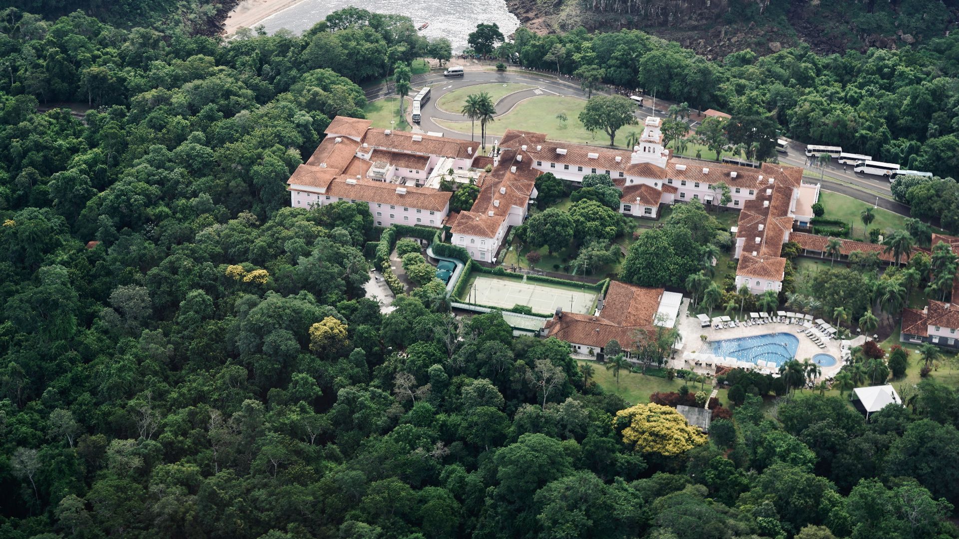 aerial view of green trees near body of water during daytime