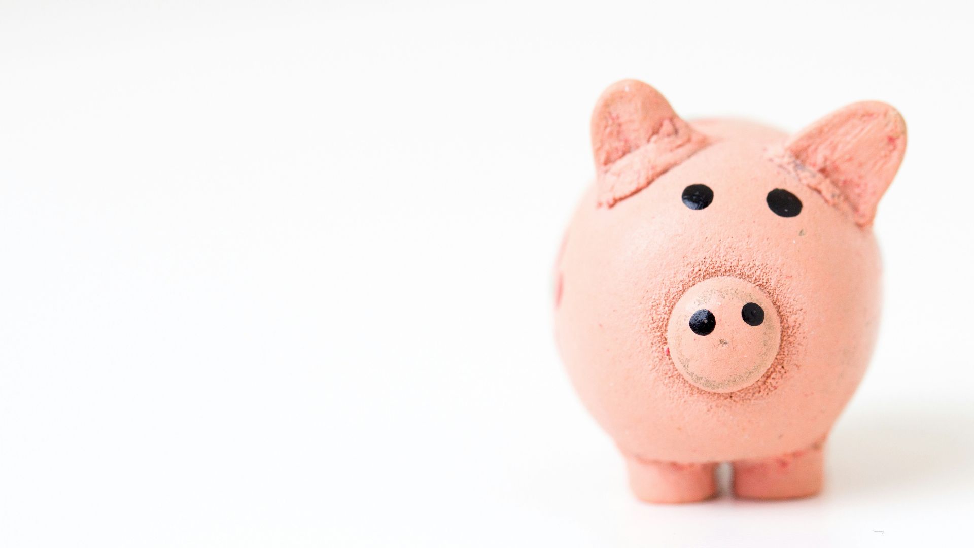 pink pig figurine on white surface