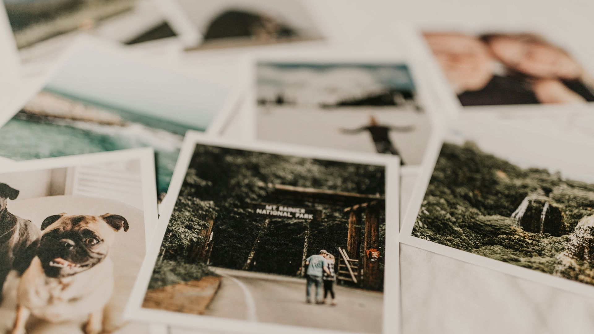 several portraits on top of white textile