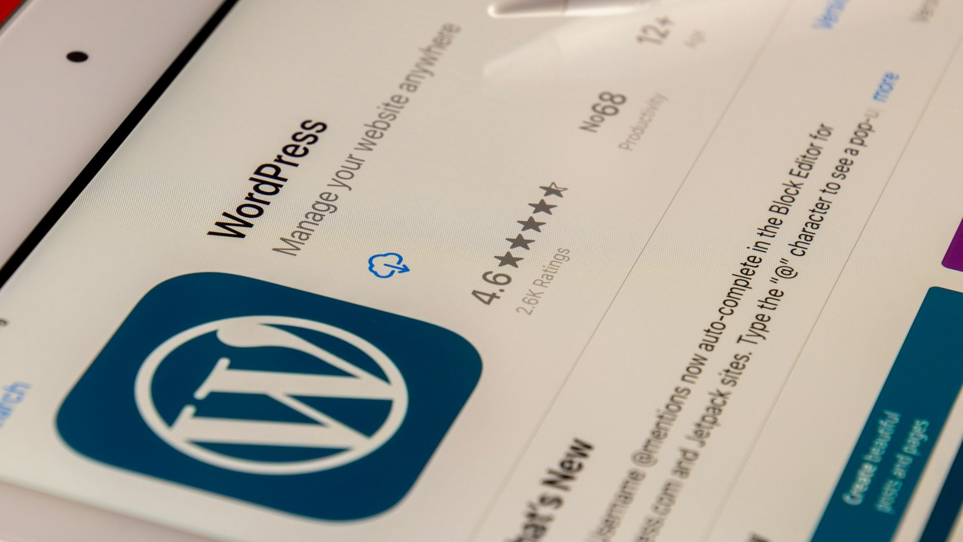 white and blue printer paper
