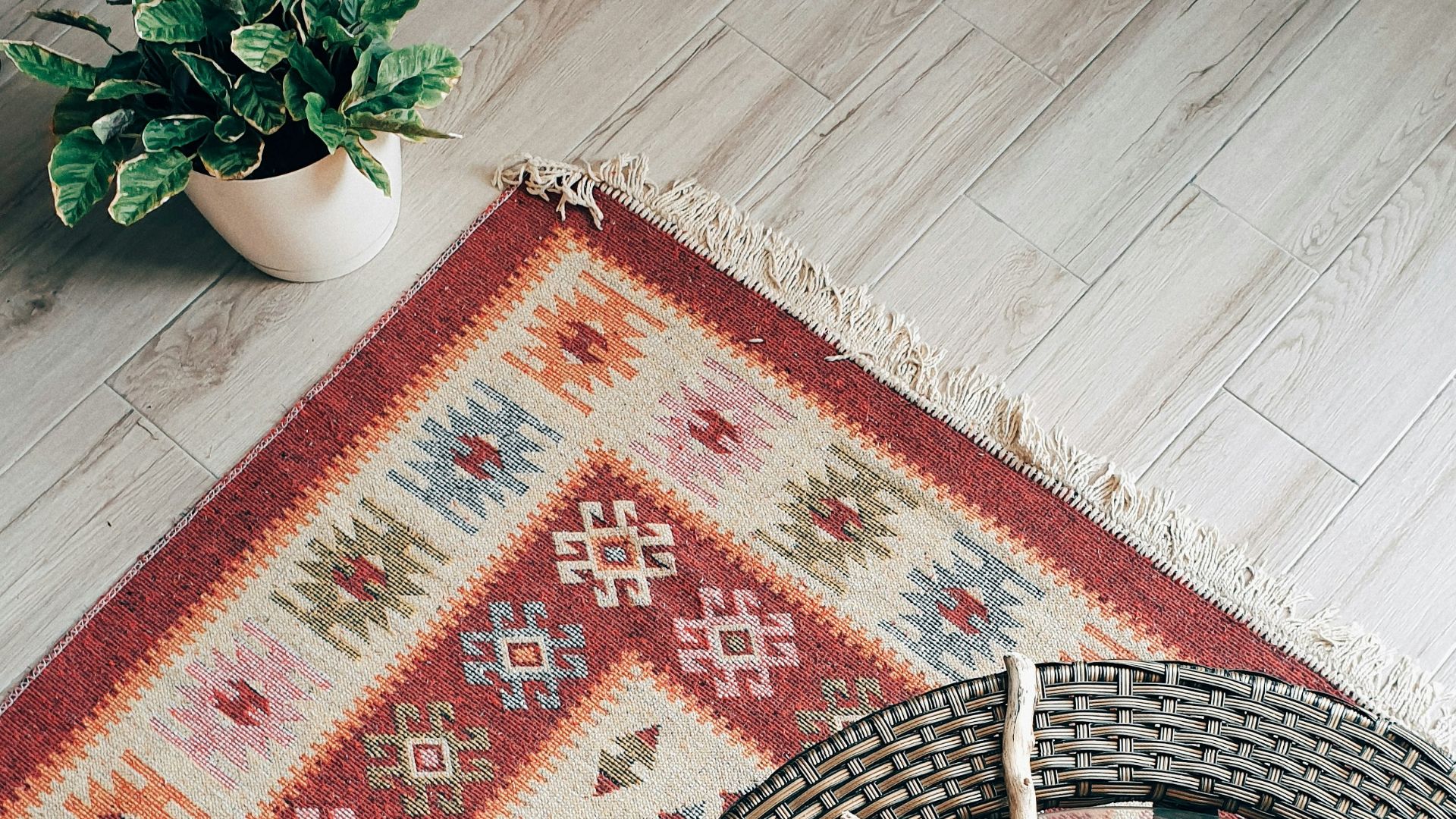 green plant on red and white area rug