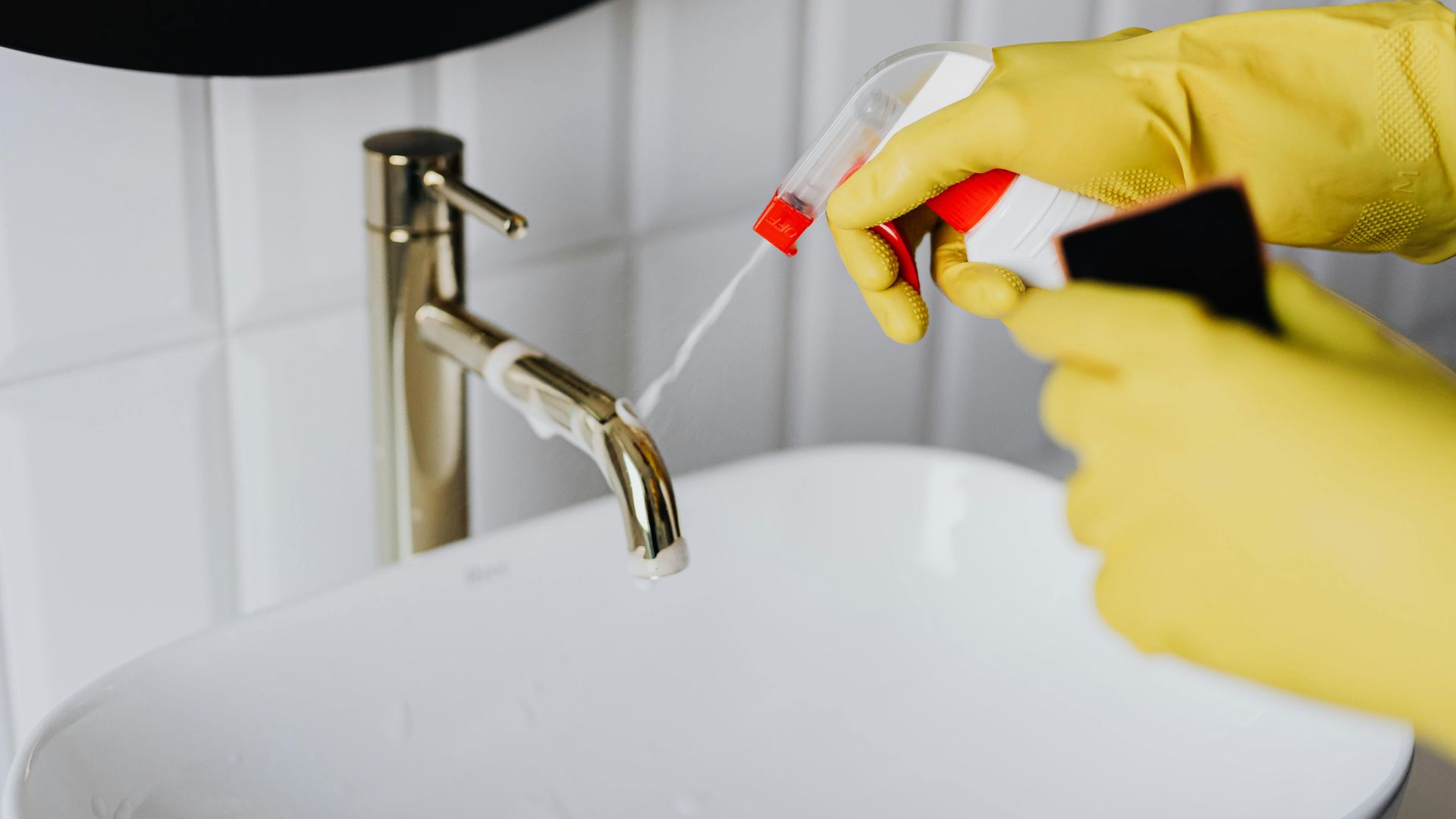 Photo By: Kaboompics.com