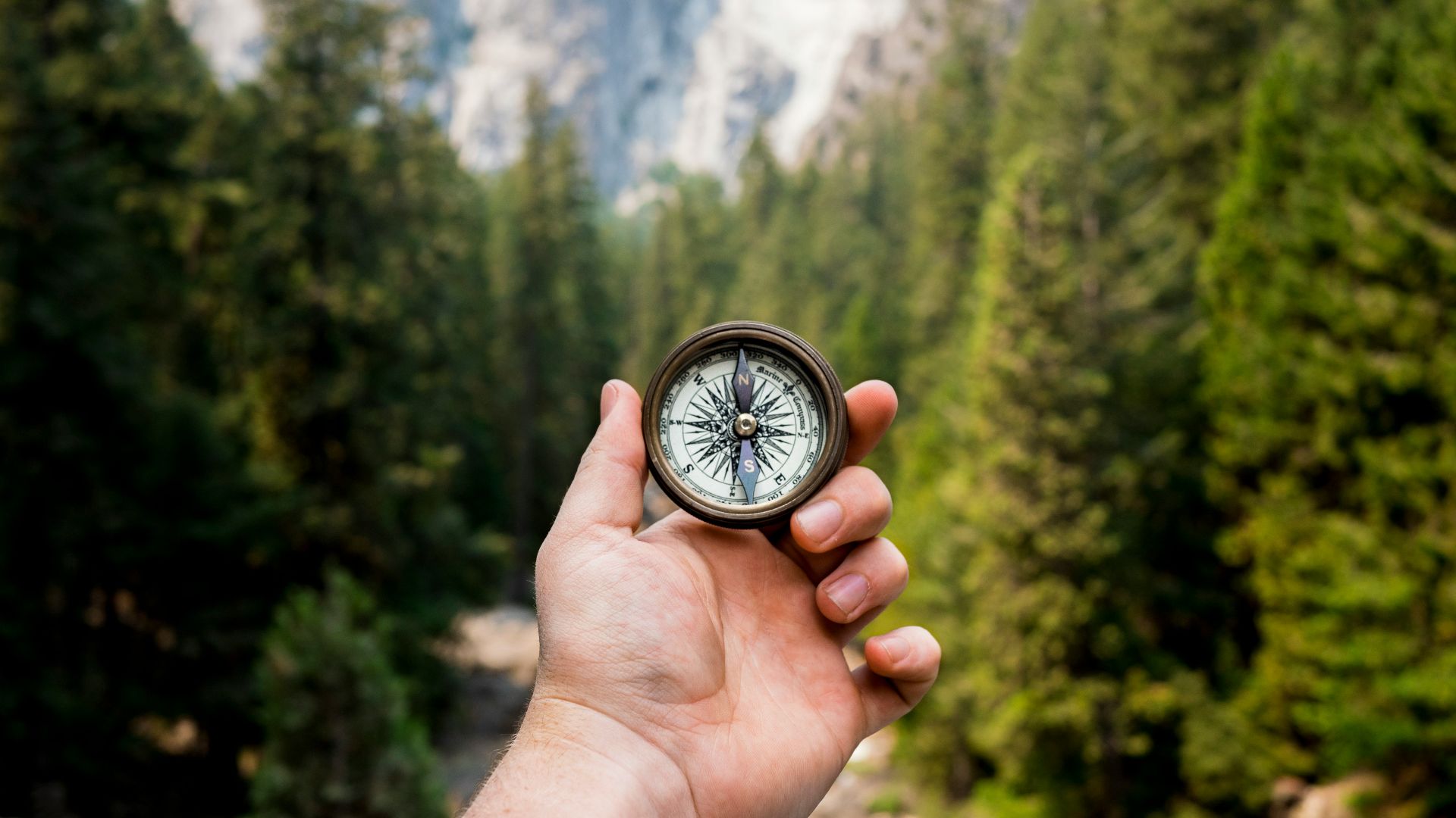 person holding compass facing towards green pine trees