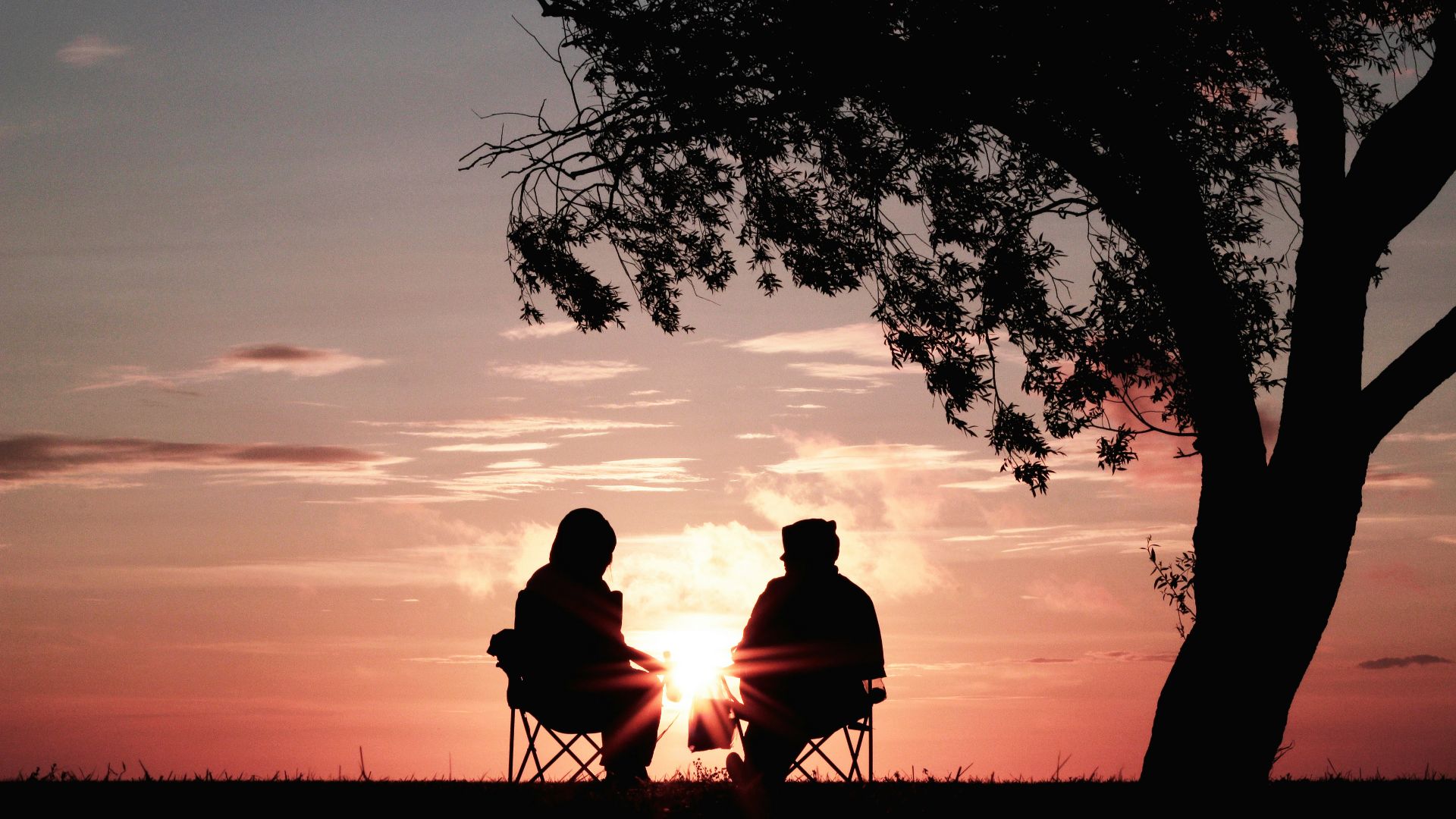 silhouette of two person sitting on chair near tree