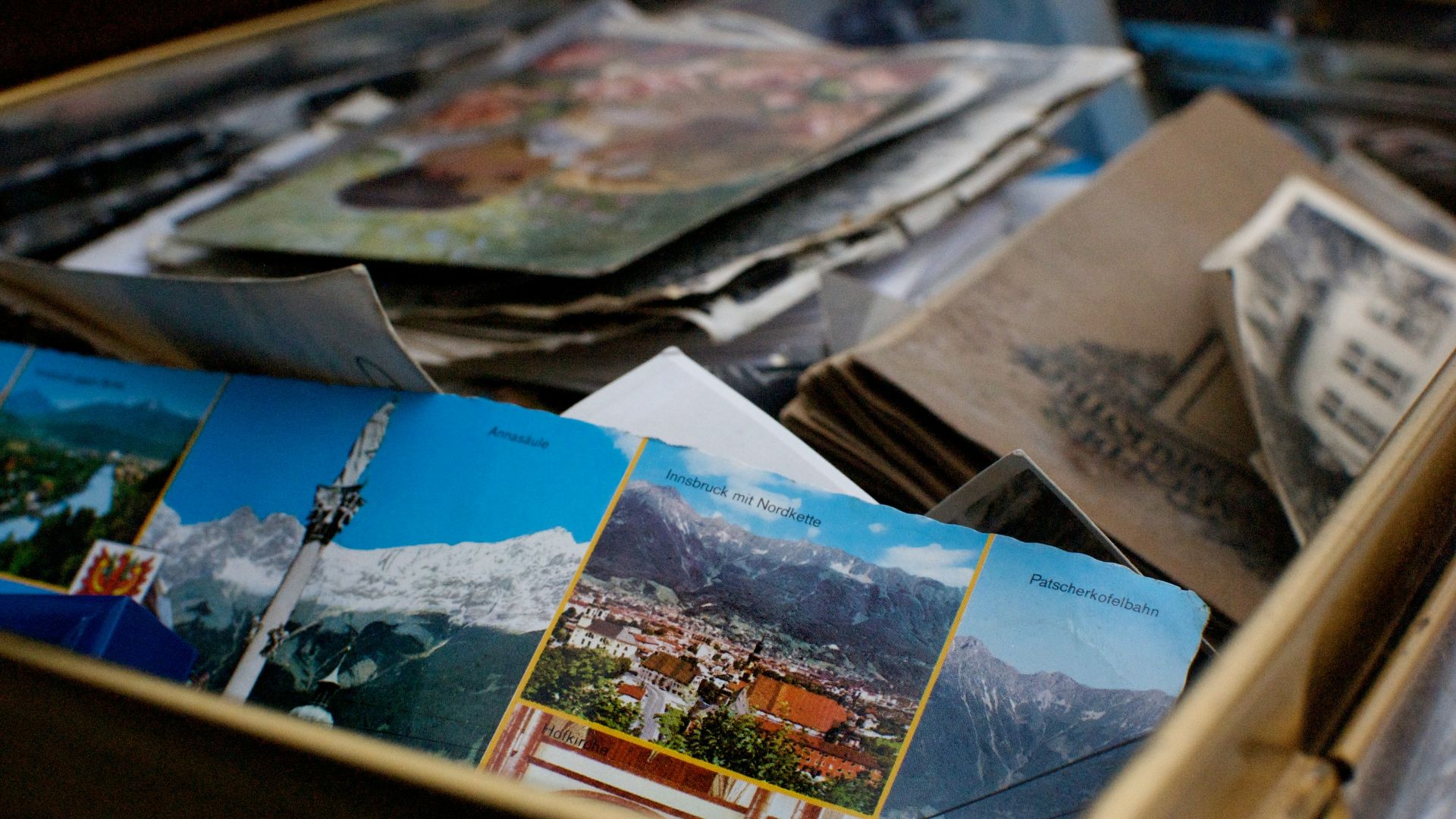 photo of assorted photo lot