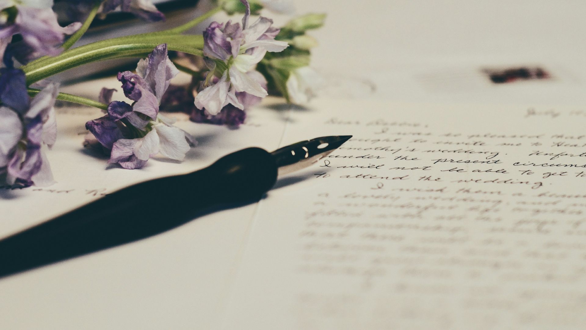 purple flowers on paper