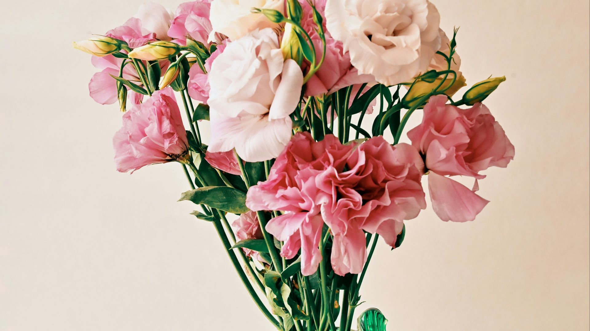 pink and white flowers in green glass vase