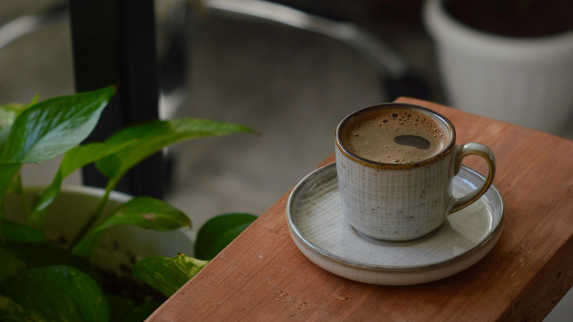 A cup of coffee on a saucer next to a potted plant