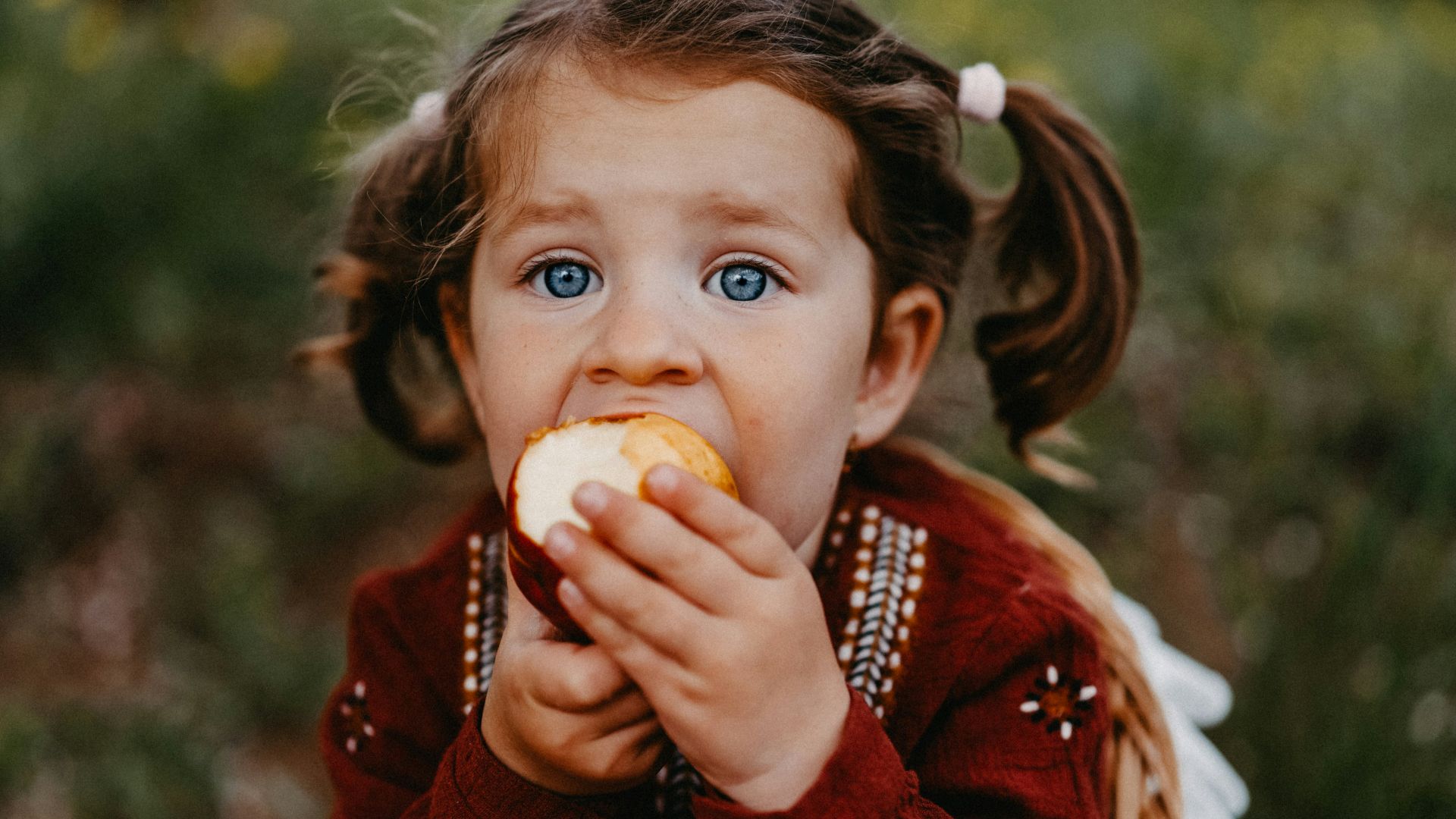 A little girl eating an apple in a field