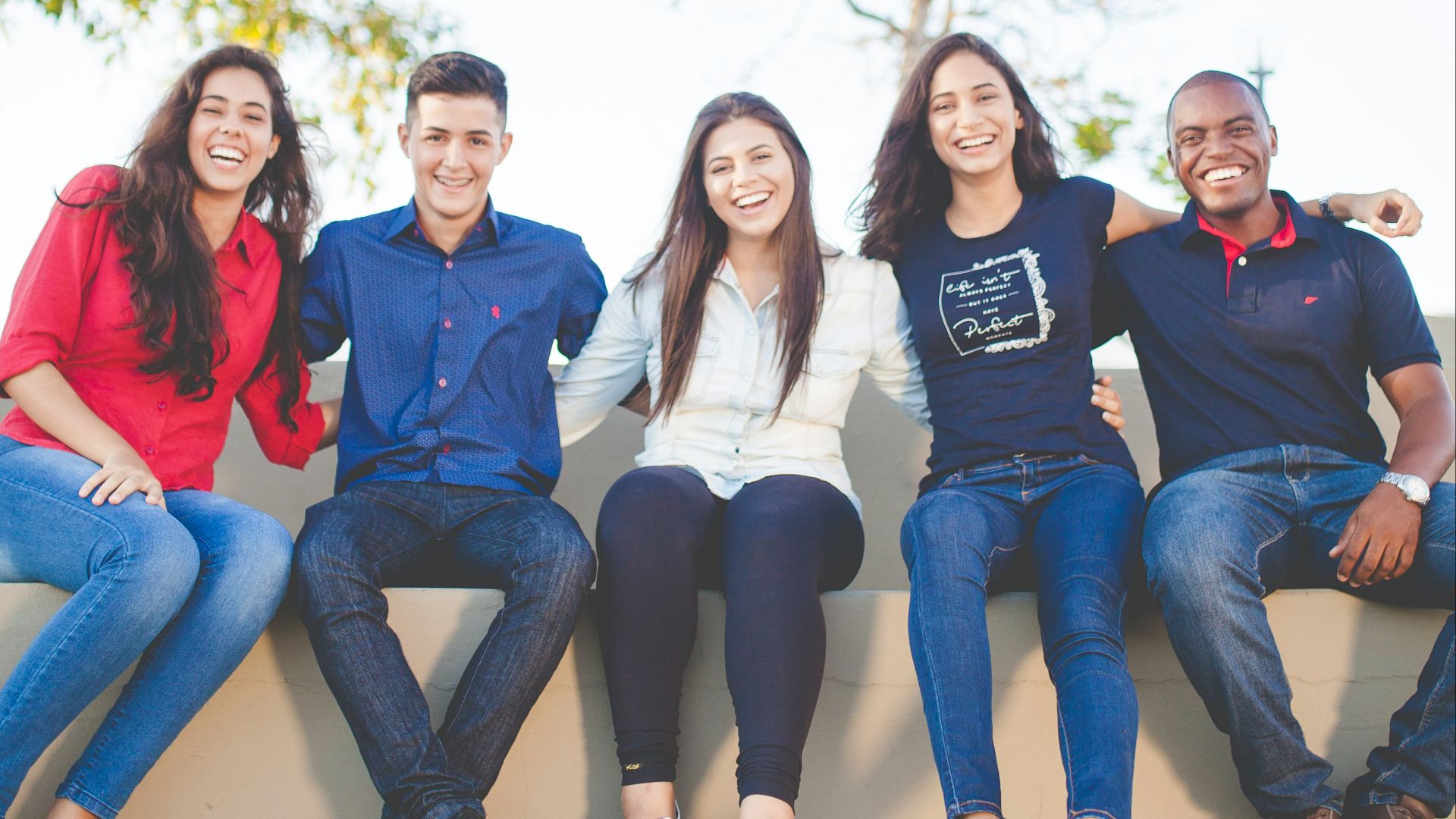 group of people sitting on bench near trees duting daytime