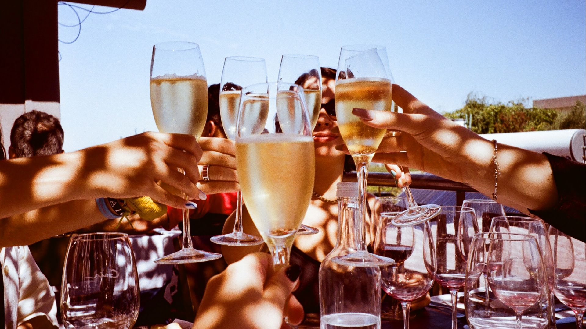a group of people toasting with wine glasses