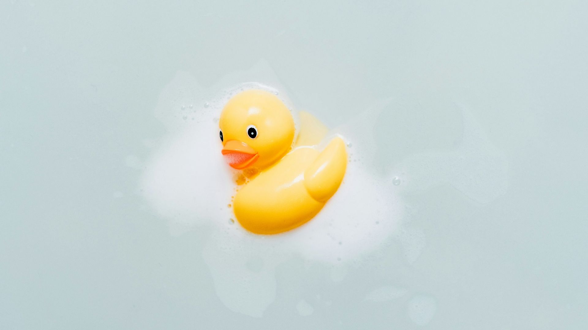 yellow bath duck