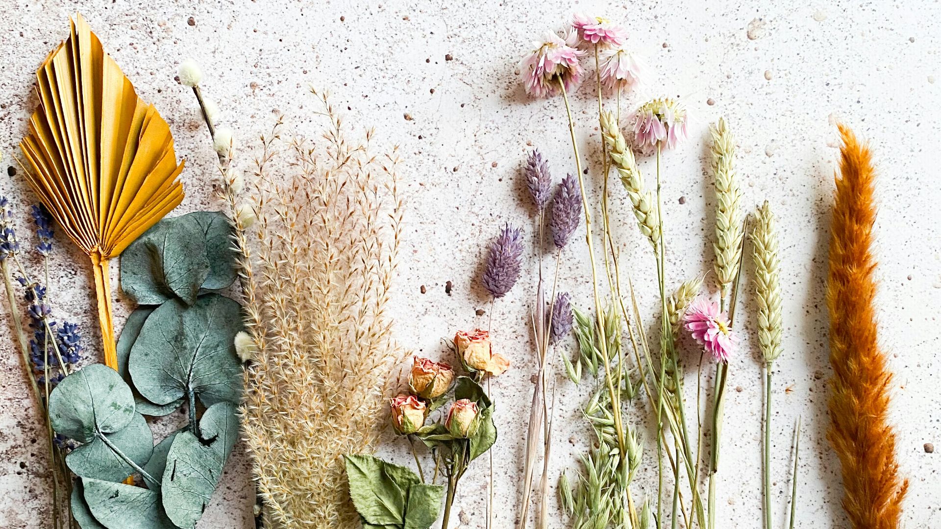 green and brown plant on white sand
