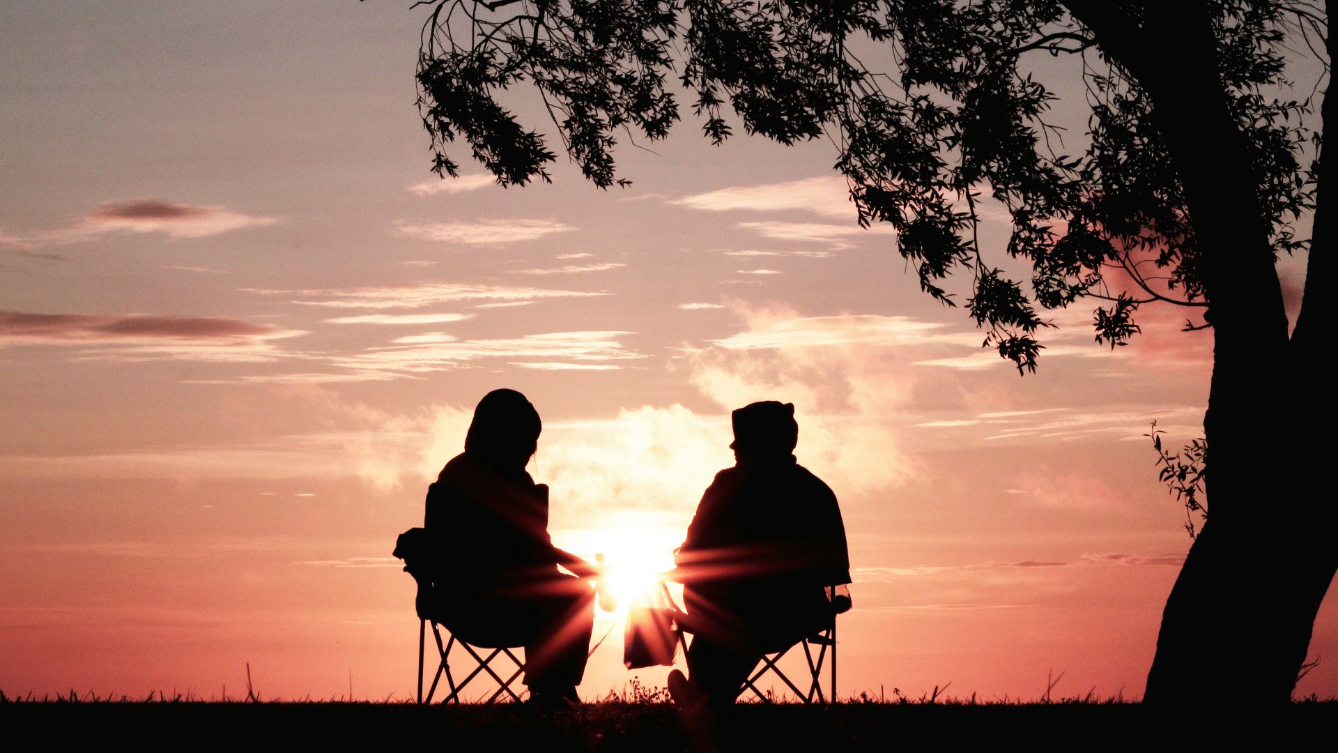 silhouette of two person sitting on chair near tree