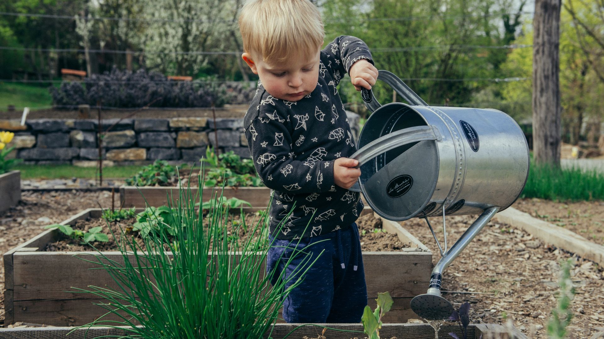 boy in black and white long sleeve shirt standing beside gray metal watering can during daytime