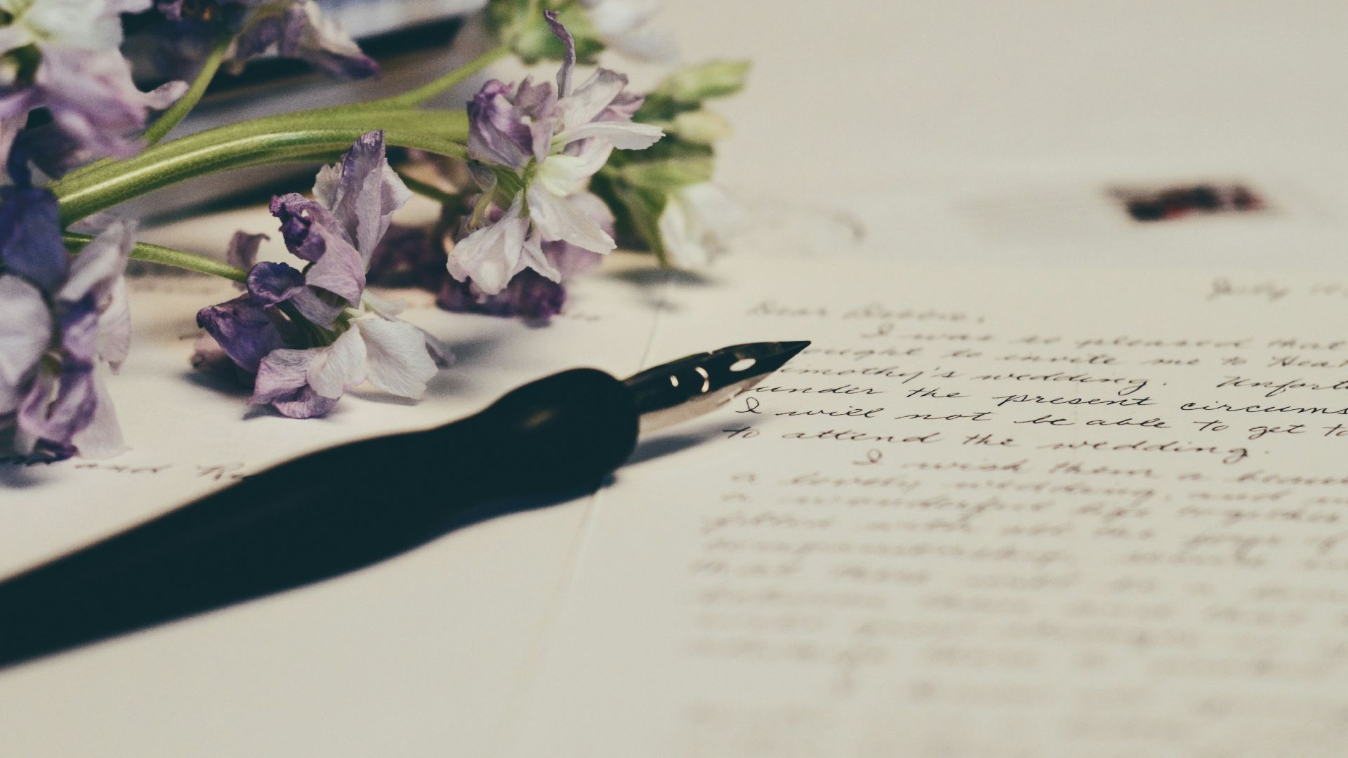 purple flowers on paper