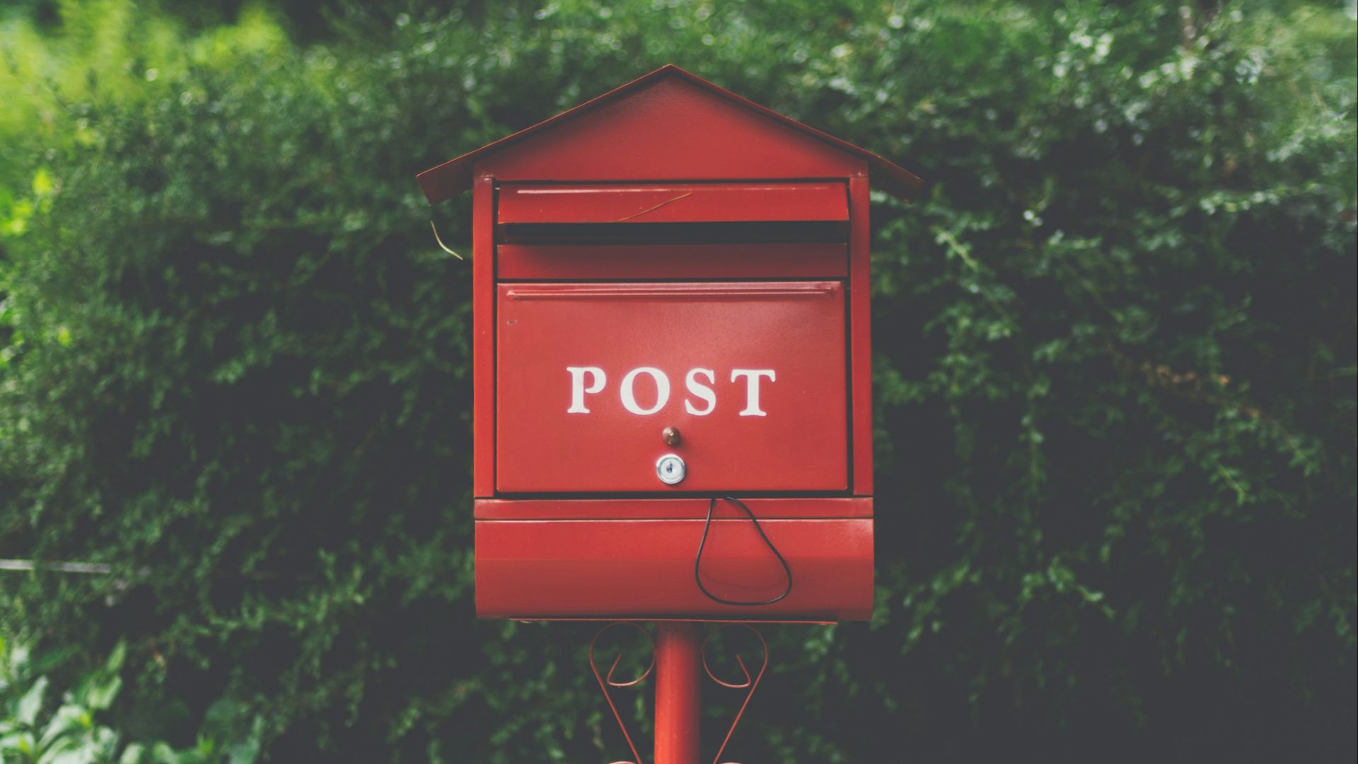 red wooden mailbox near green leaf plant
