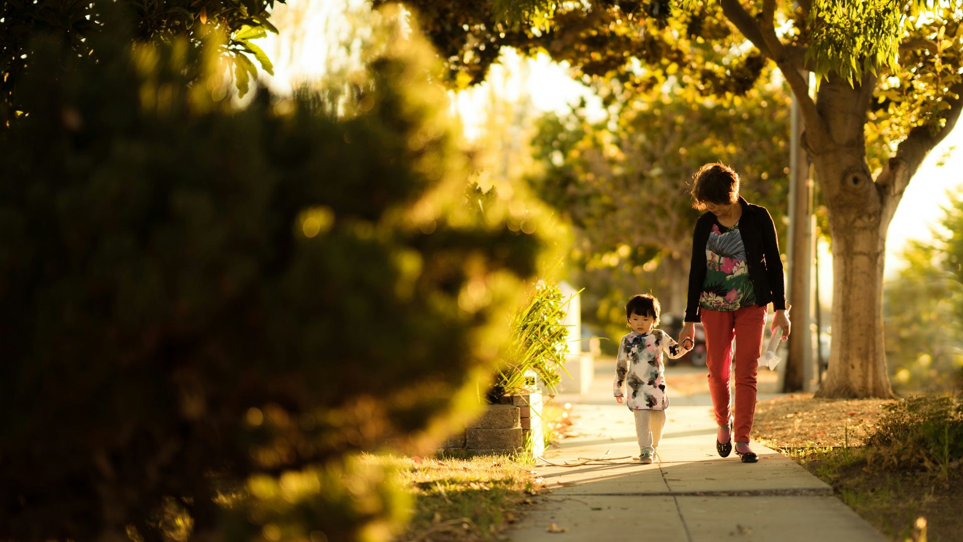 woman holding a child walking in the pathway