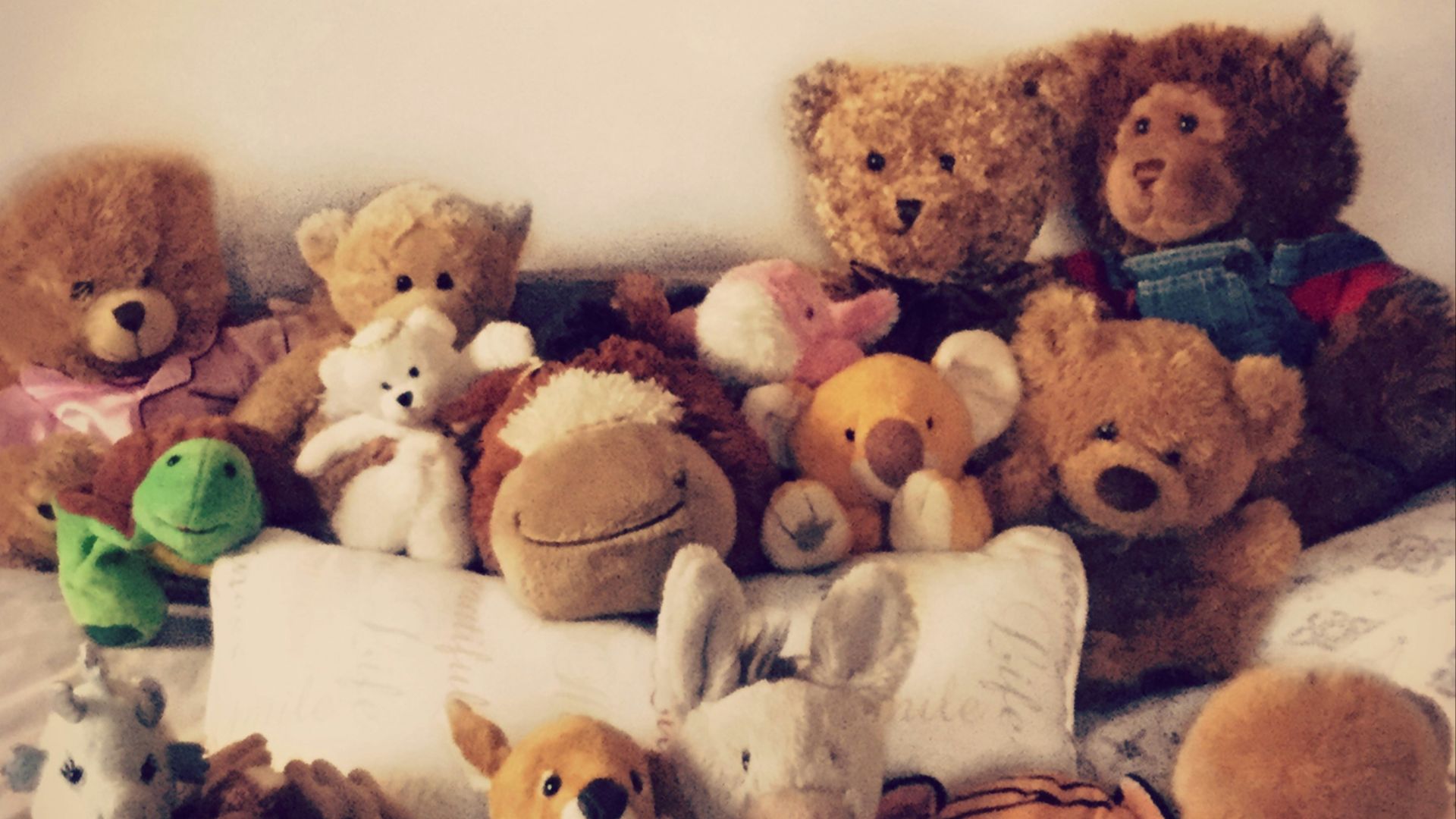 brown bear plush toy on white textile