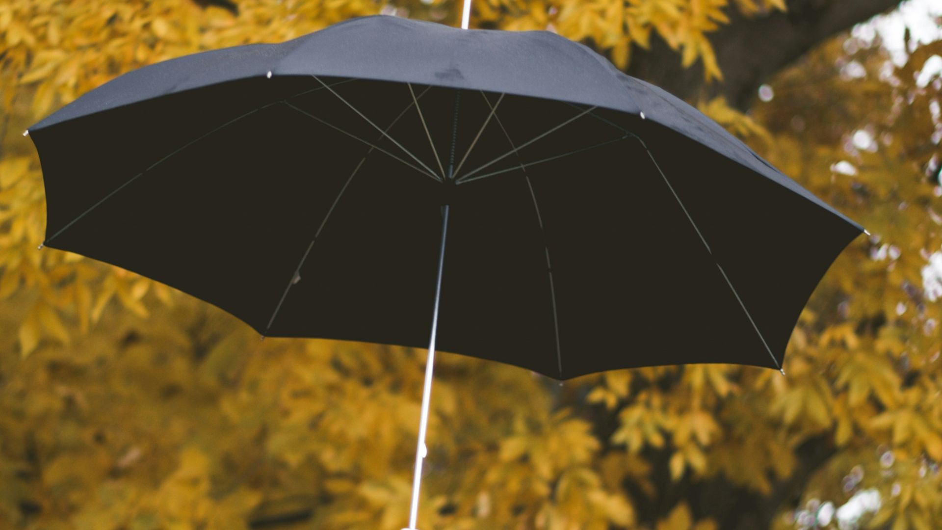 floating black umbrella