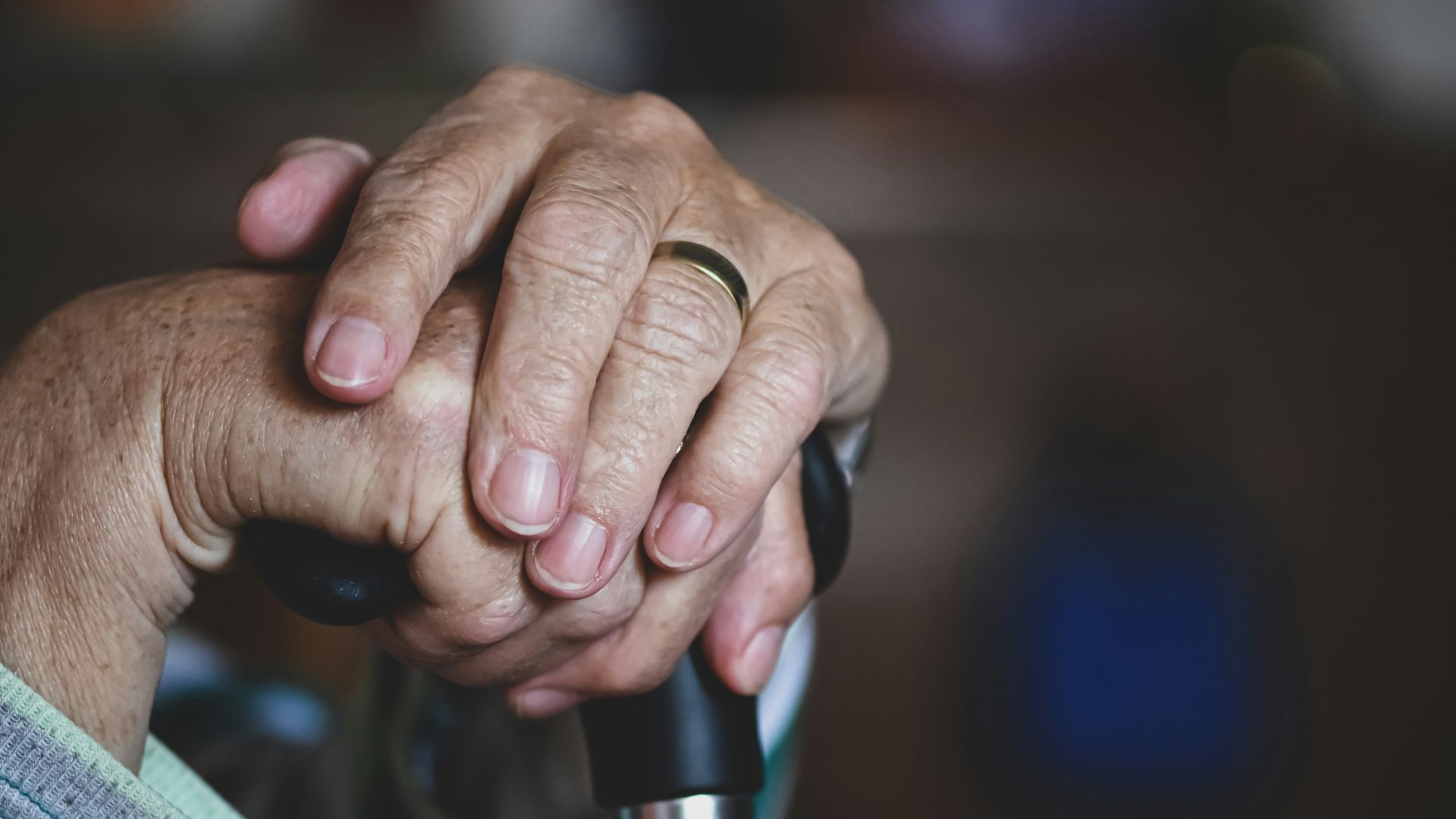 person holding black and silver microphone