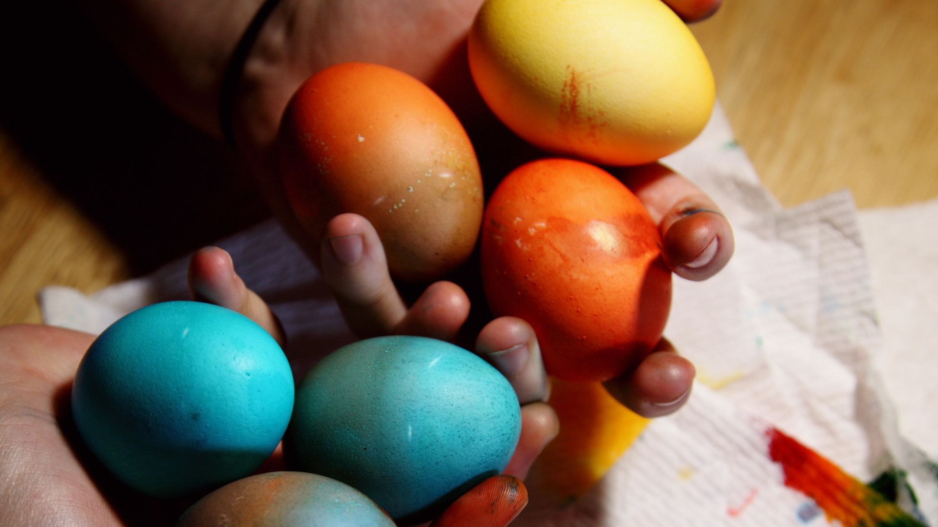 person holding blue and yellow egg