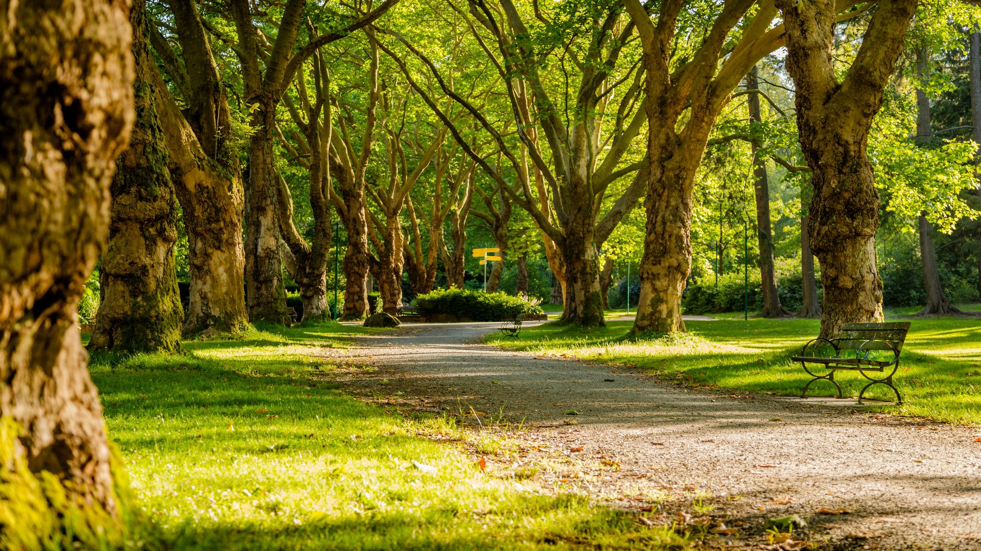 photo of empty park during daytime