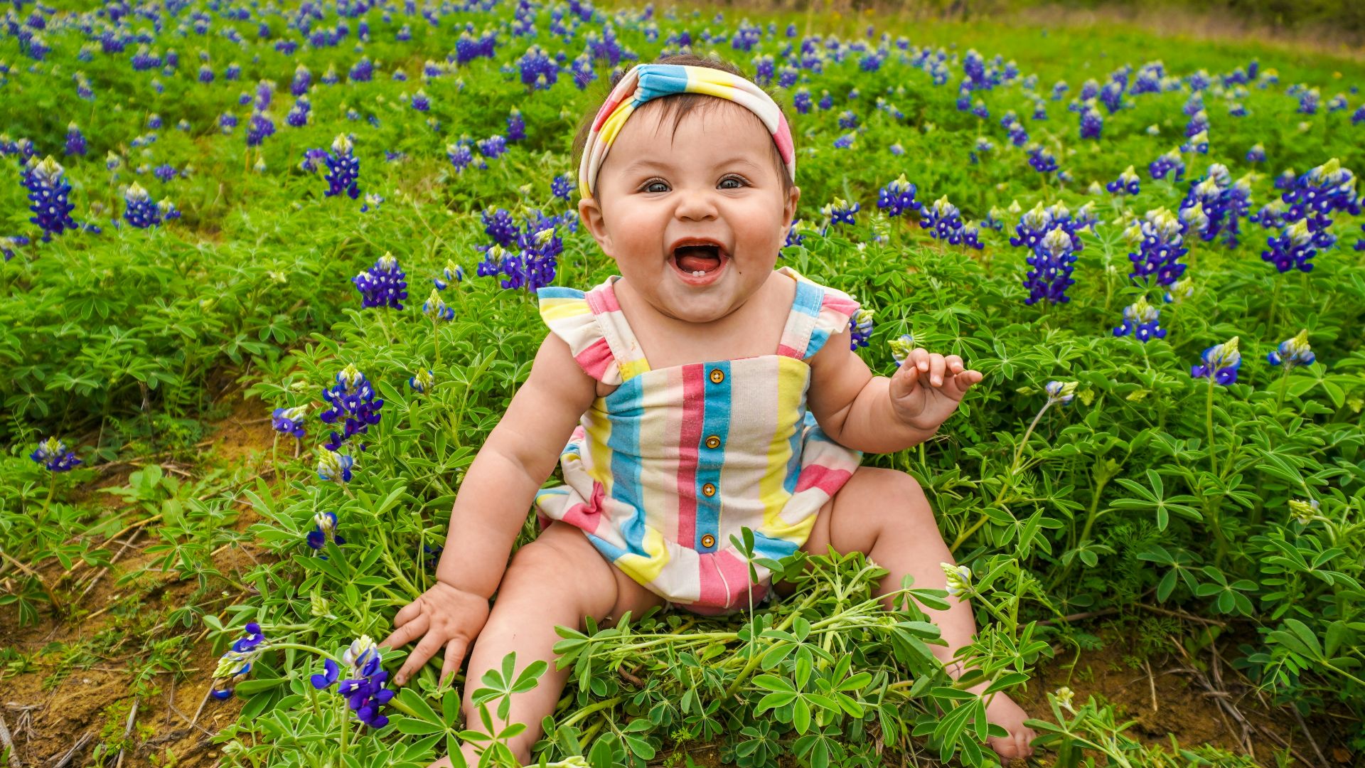 a baby sitting in a field of blue flowers