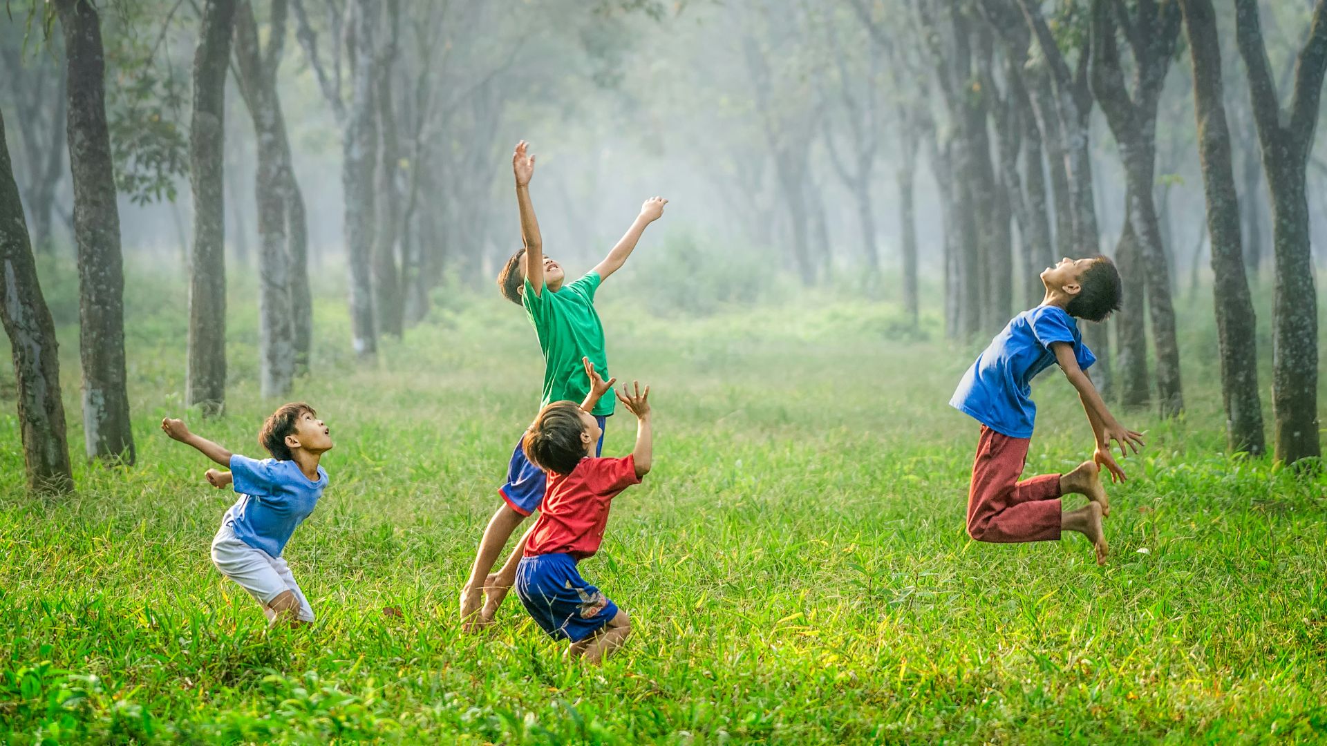 four boy playing ball on green grass