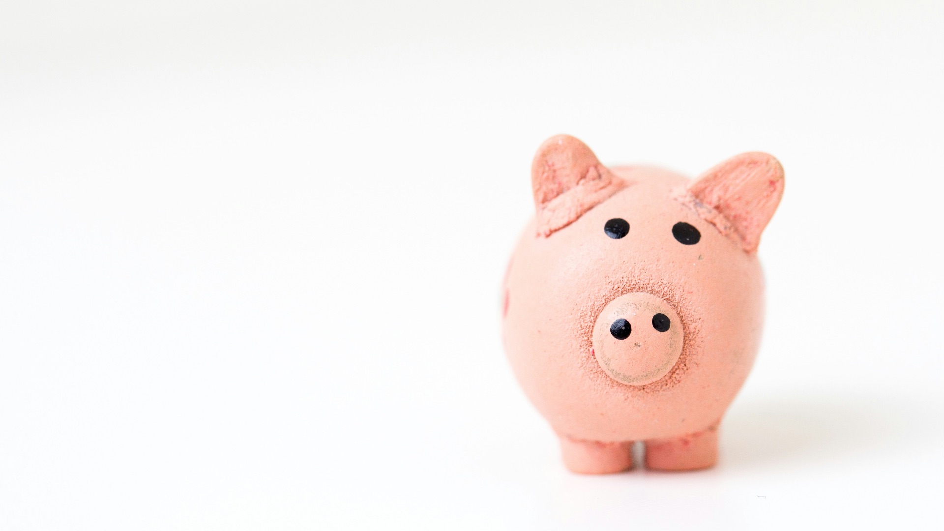 pink pig figurine on white surface