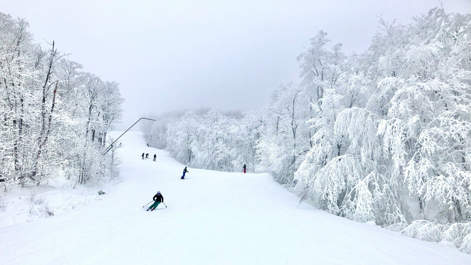 person in black jacket and black pants riding on snow ski during daytime