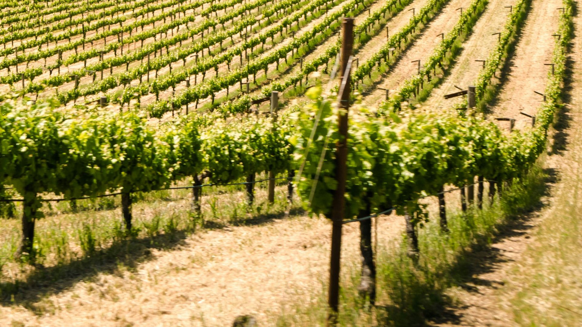 landscape photography of farm