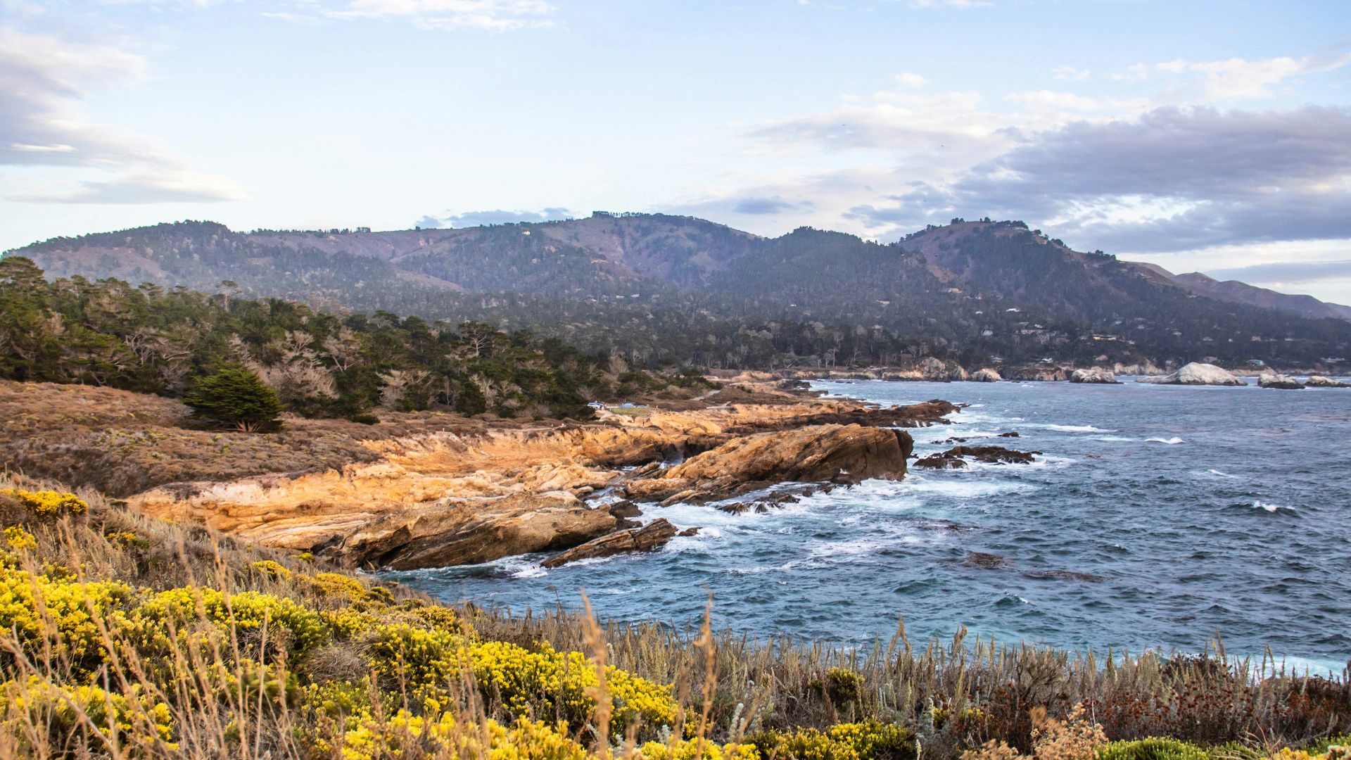 green grass near body of watr