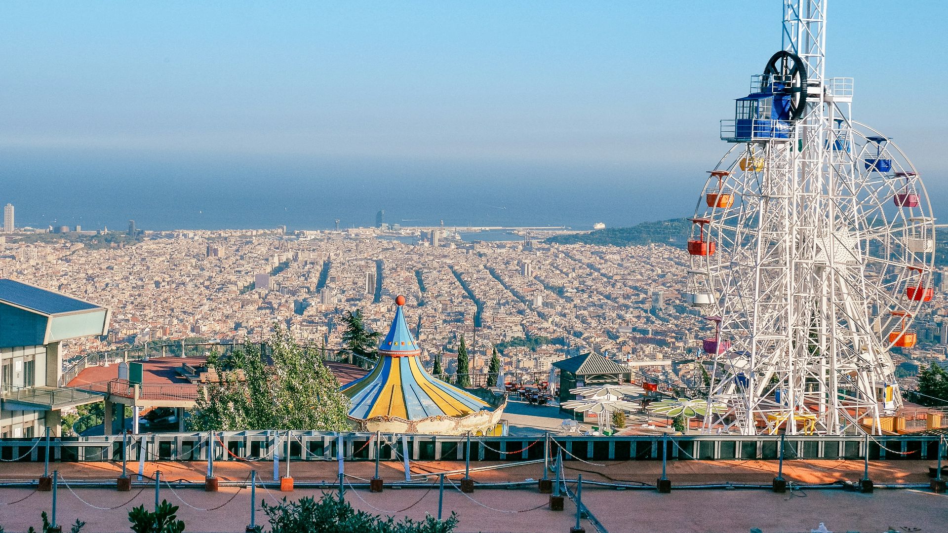 people on beach during daytime