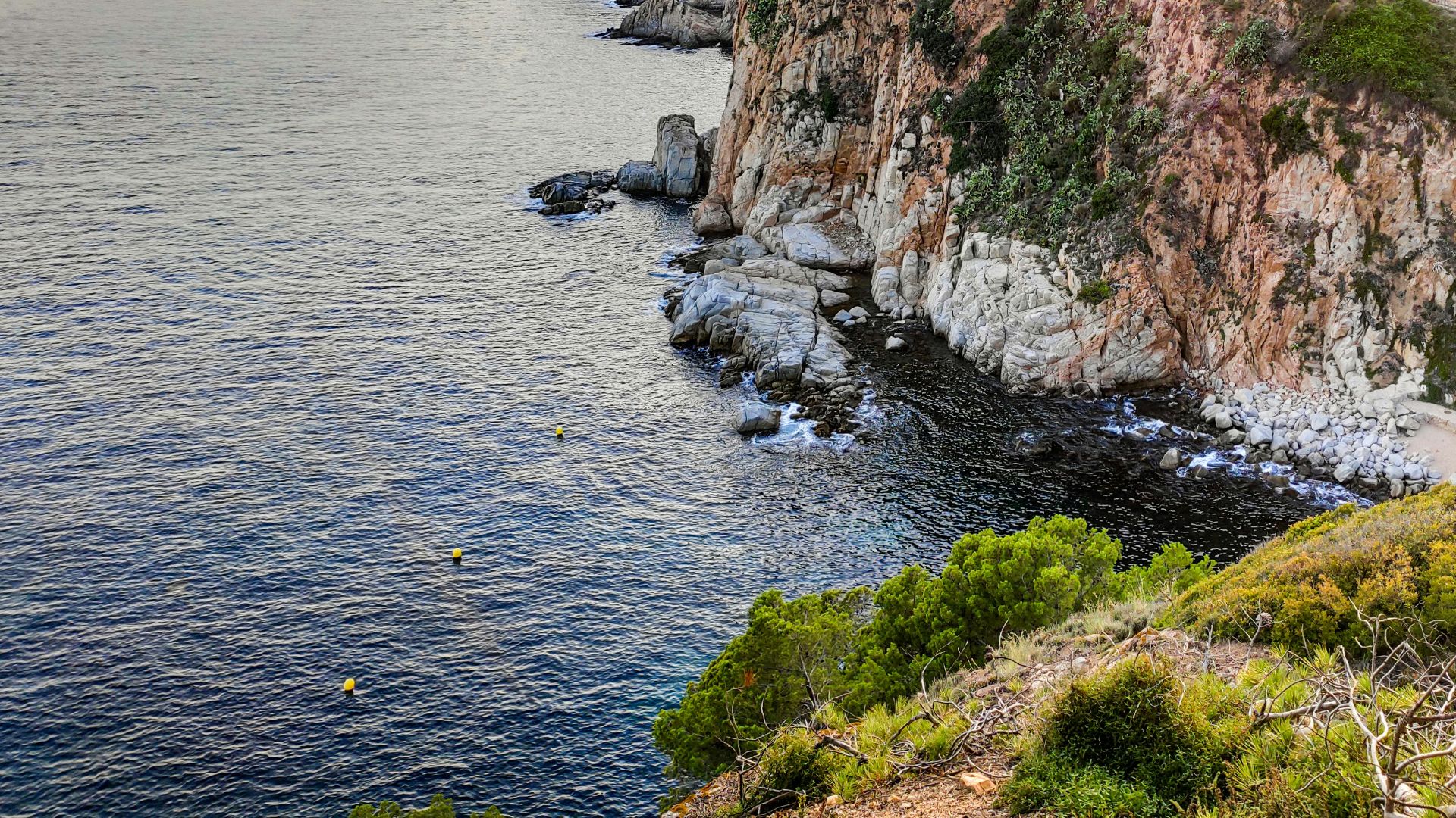aerial photo of cliff during daytime