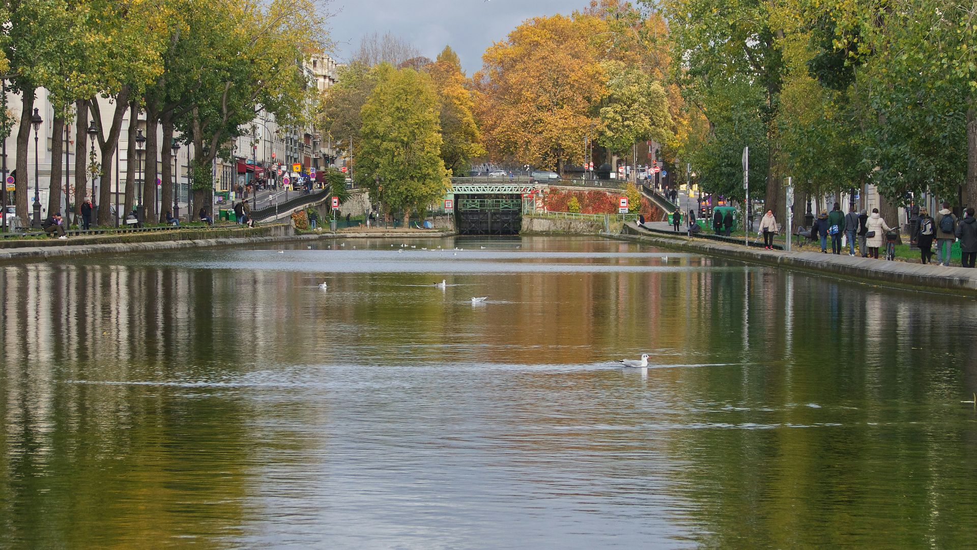 a body of water surrounded by trees and buildings