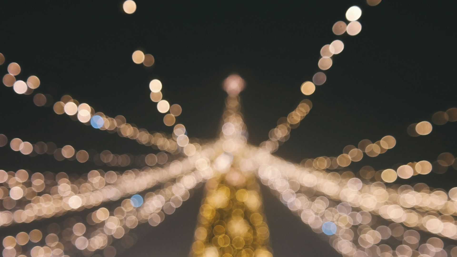 bokeh photography of Christmas tree