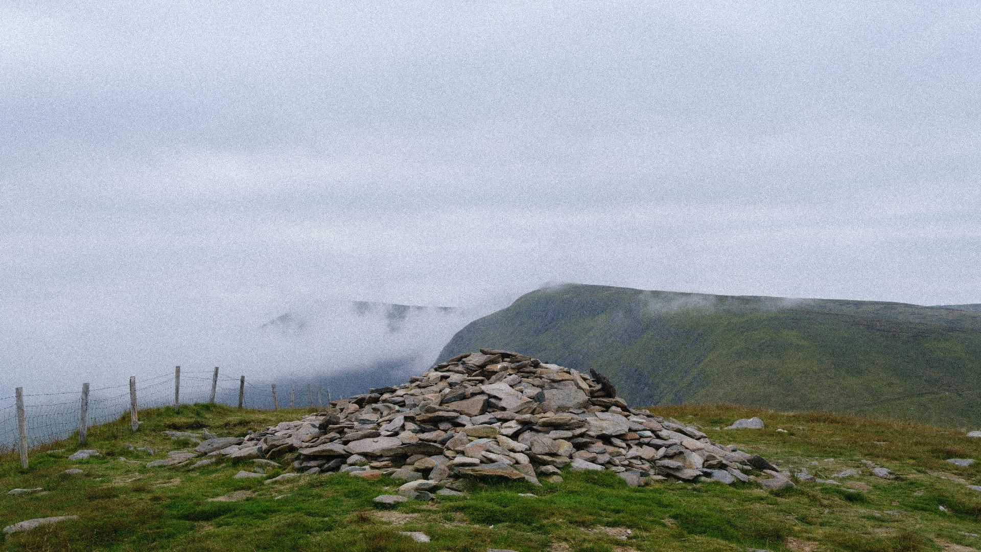 green grass field under white sky during daytime