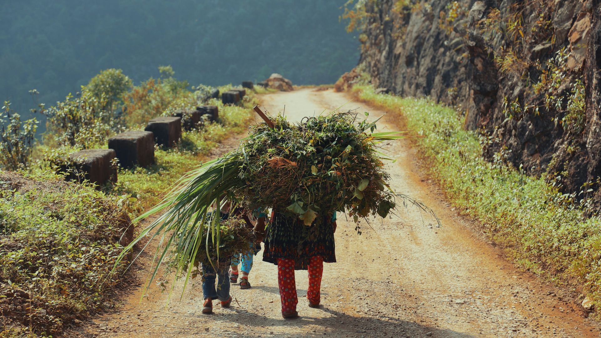 a woman and two children walking down a dirt road