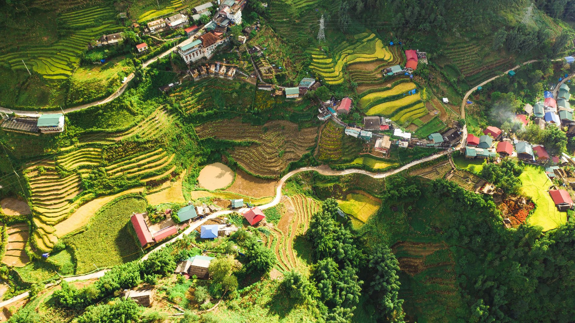 aerial view of city at daytime