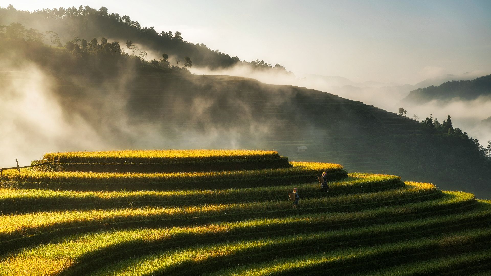 green grass field near body of water during daytime