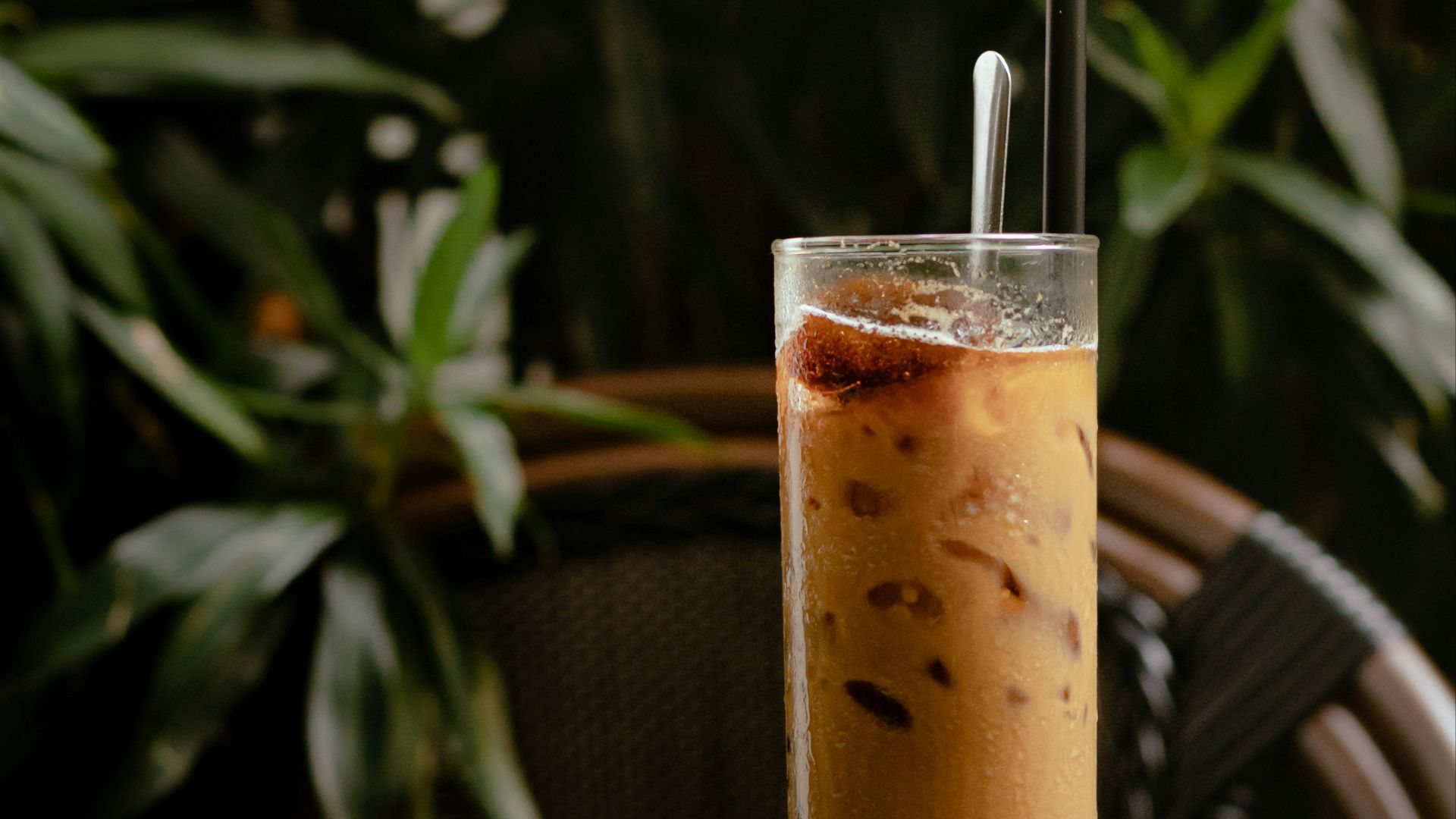 a glass with a drink in it